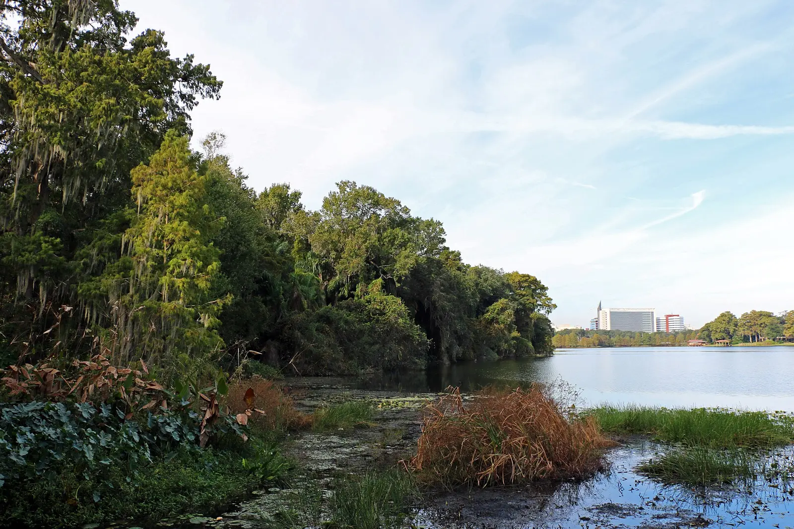 Lake Rowena at Harry P. Leu Gardens, about a third of a mile west of Audubon Park