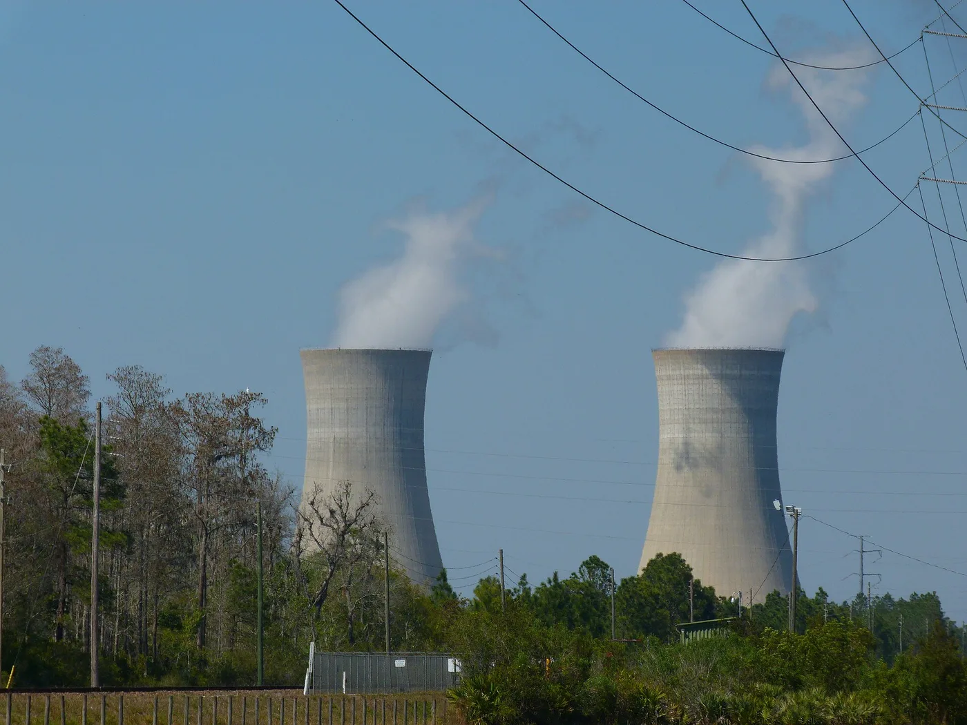 Cooling towers at the Curtis H. Stanton Energy Center east of Orlando, behind a line of power poles