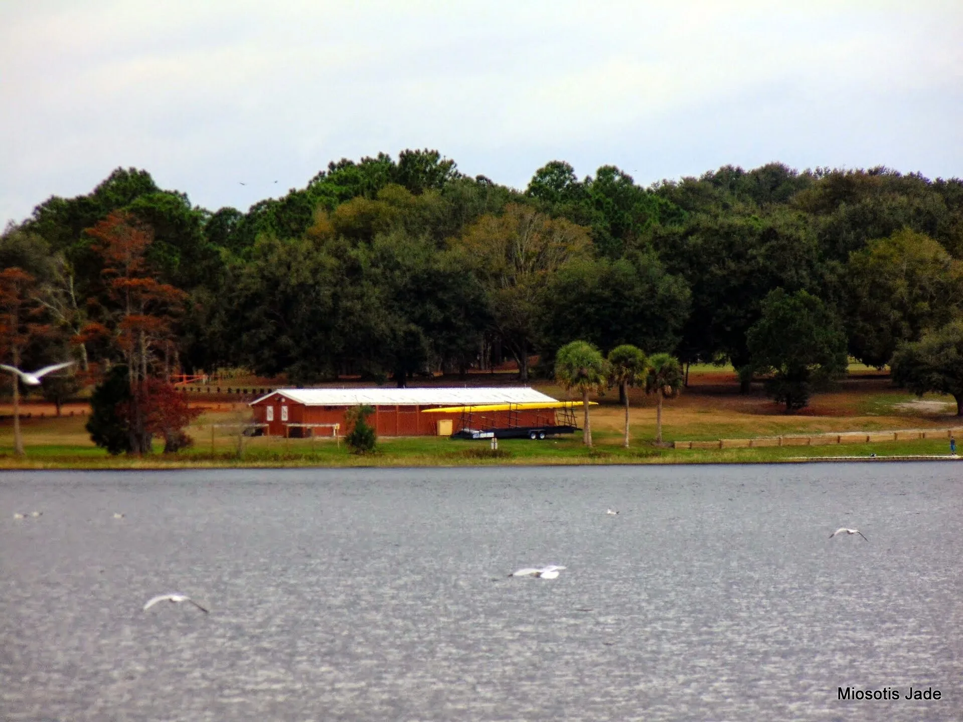 Turkey Lake from Bill Frederick Park in Orlando