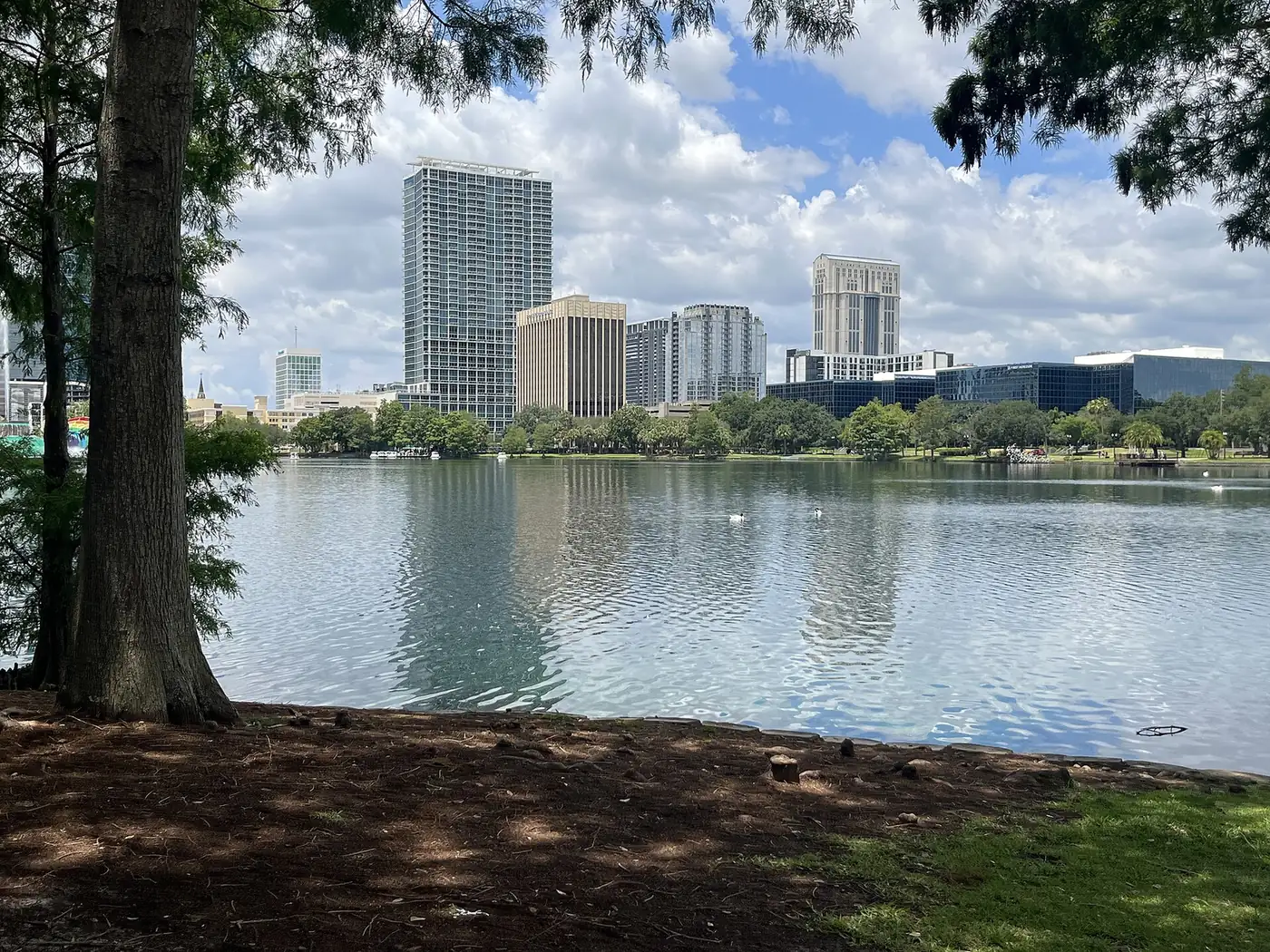 Lake Eola and the downtown Orlando skyline seen from the park's shore.